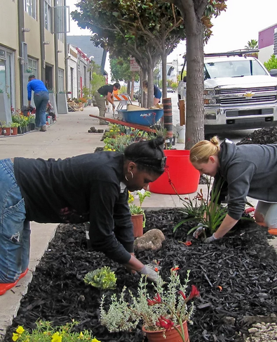 Friends of the Urban Forest for Oakland